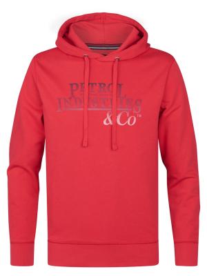 Men Sweater Hooded Print