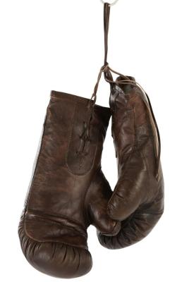 Boxhandschuhe Leder Braun