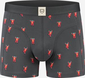 Boxerbrief Joachim