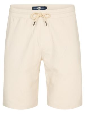 Men Shorts Chino