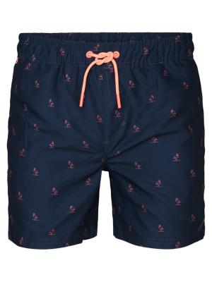Men Swimshort